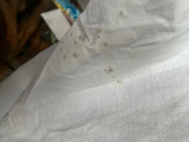 Spots on shirt